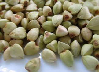 Grano saraceno, le sue qualità. Ecco il “saracenotto”…