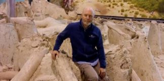 Evoluzione degli elefanti nel Pleistocene, docente Unicam nel team internazionale