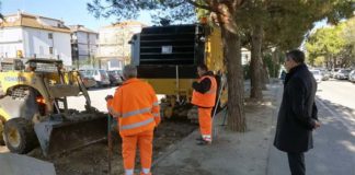 Asfalti rovinati dalle radici dei pini, lavori per una spesa complessiva di 58mila euro