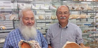 Museo Malacologico di Cupra, pubblicato l’atlante delle conchiglie dei fratelli Cossignani