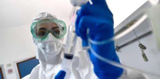 Coronavirus, nessun caso positivo al momento nelle Marche. Rafforzate le attività di prevenzione