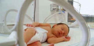 “Culle Smart” per i neonati prematuri, sperimentazione al Salesi di Ancona