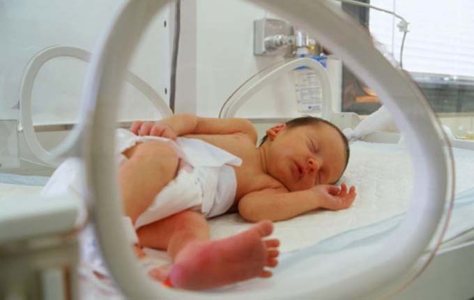 2020-02-24_culla smart ancona