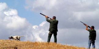 Regione Marche, approvato in Consiglio il piano faunistico venatorio