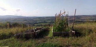 Macerata, il Comune aderisce a “M’illumino di meno”: 750 piantine al Sasso d’Italia