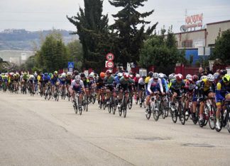 Federciclismo Marche: «Restare a casa per tutelare la nostra salute»