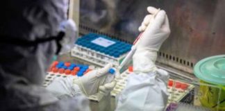 Coronavirus Marche, zero positivi su 1250 tamponi. Ceriscioli: «Ottima notizia»