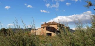 Progetto Crew, nuovi passi in avanti verso il Contratto di area umida