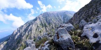 I ricercatori Unicam scoprono una nuova pianta. Vive sulle creste più elevate della Majella