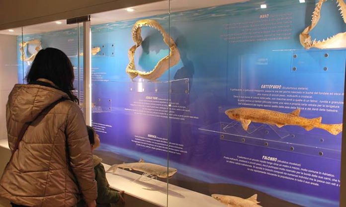 2020-05-30_museo del mare