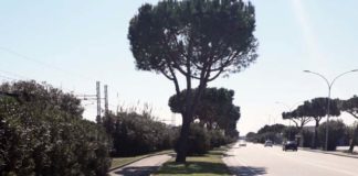 Lavori sulla rete fognaria, Viale dello Sport chiude tra la rotonda Nassiriya e via del Caravaggio