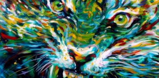 “Cavalcare la tigre”, Mario Vespasiani dedica una serie di incontri estivi ai giovani