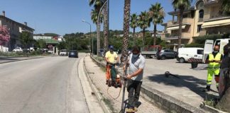 Decoro urbano, la “Fabbrica dei fiori” introduce a Grottammare la tecnica del pirodiserbo