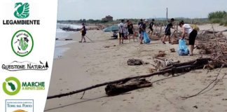 “Passeggia, osserva, raccogli” alla Riserva Sentina: appuntamento il 6 settembre