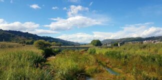 Tesino, il fiume sacro è in pericolo di vita