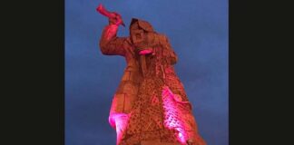Giornata Mondiale della Prematurità, a San Benedetto la Statua del Pescatore s’illumina di viola