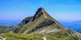 San Benedetto, dopo Topolino gli alunni della “Curzi” portano la Sibilla a New York