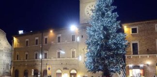 Macerata, albero e luminarie accesi dal 5 dicembre. Sacchi: «Sarà un Natale diverso ma non perso»