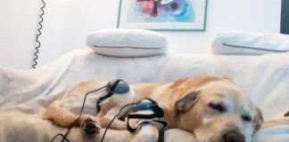 La storia di Jack: musica a 432hz e magnetoterapia, un binomio che funziona