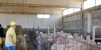 Coldiretti Marche, al via il censimento agricolo con l’esordio dei Centri di Assistenza Agricola