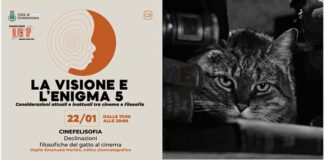 “Cinefelisofia”, le declinazioni del gatto al cinema. Appuntamento il 22 gennaio con Emanuela Martini