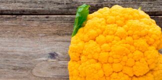Il cavolfiore romanesco arancione arriva sulle tavole e rivela importanti qualità