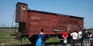 La Giornata della Memoria e i programmi educativi Erasmus. Aubert:«Temi legati al rispetto della diversità»