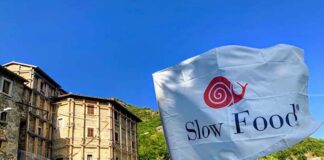 Favalanciata, le sue fave verranno seminate anche in Sudafrica