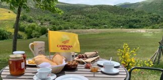 Coldiretti Ascoli Fermo, appello ai Comuni: «Tari ridotta per imprese agricole e agriturismi»