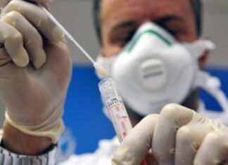 Covid Marche, 214 nuovi casi su 2165 tamponi: 31 nel Piceno. Percentuale al 9,9%