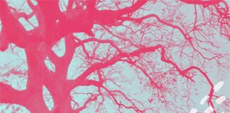 “Un albero mi ha chiesto di danzare”, dal 9 maggio la dedica alla natura di Cecilia Ventriglia e Cecilia Di Domizio