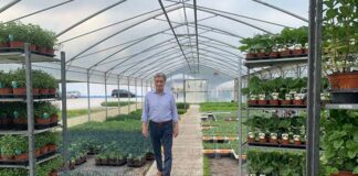 Grottammare, con la pandemia esplode l’ortomania. Merli:«Tante richieste per realizzare orti domestici»