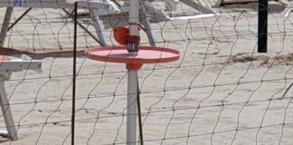 San Benedetto, una coppia di fratini nidifica sotto ombrellone del Lido Sabbiadoro