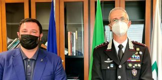 Contenimento dei cinghiali, incontro tra Regione Marche e Carabinieri Forestali
