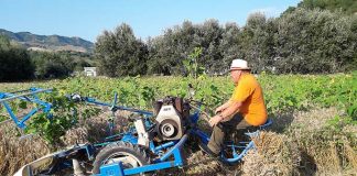 Ripatransone, riapre il Museo della Civiltà Contadina ed Artigiana. Ecco i primi eventi