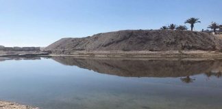 Grottammare, bioattivatori alla foce del torrente Tesino