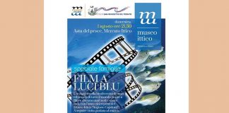 Al Museo Ittico di San Benedetto tornano in esposizione numerosi reperti marini