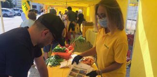 Coldiretti Marche, consumo di suolo agricolo: oltre 1000 firme per dire no al fotovoltaico a terra