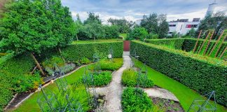 Scoprire Ascoli Piceno a Treviri: sul Petrisberg, il giardino dedicato alla città gemellata