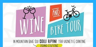 Wine & Bike Tour, escursione in mountain bike tra vigne e cantine di Ripatransone
