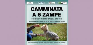 Ascoli Piceno, il 19 settembre una camminata a sei zampe