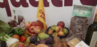 Coldiretti Marche, export agroalimentare più forte del Covid: in crescita rispetto a prima della pandemia