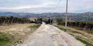 Offida, partiti i lavori di sistemazione della strada comunale Grifola