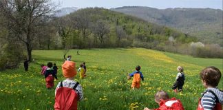 Agrinido delle Marche, la Regione rinnova la convenzione con la Fondazione Chiaravalle-Montessori