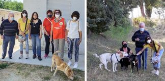 “L’amico fedele”, gli utenti del Dipartimento di Salute Mentale incontrano gli amici a quattro zampe al Canile di Ripatransone