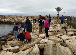 “Plastic Free”, i ragazzi del Liceo Rosetti ripuliscono gli spazi del Circolo Nautico Sambenedettese