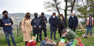 “Giornata dell’Albero” a Monteprandone, Loggi: «Renderemo il nostro Comune sempre più green»
