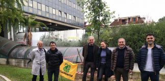 Festa dell’Albero, nel giardino del Comune di San Benedetto arriva una “Cinnamomum Camphora”