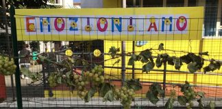 Isc Centro di San Benedetto, la Scuola di Ragnola si trasforma in vigna per la vendemmia dei bambini