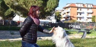 Centobuchi, il 4 dicembre inaugurazione del Parco Bau “Pongo & Peggy”